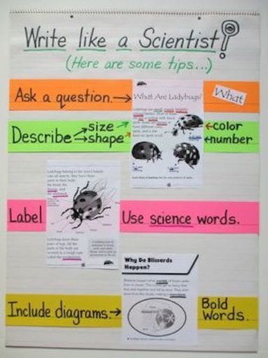Write Like a Scientist Anchor Chart 