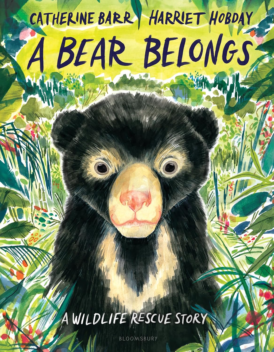 A Bear Belongs book cover