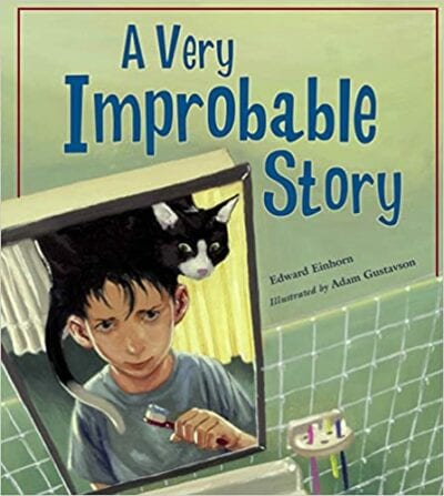 Book cover for A Very Improbable Story