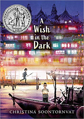 Book cover for A Wish in the Dark