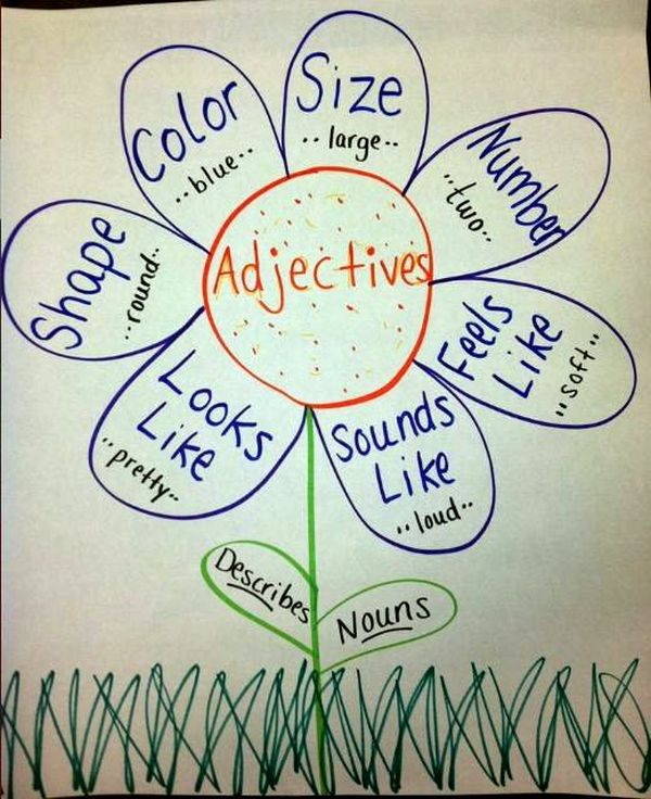 A drawing of a flower with the word "adjective" in the middle and various types of adjectives on each petal (Adjectives Anchor Charts)