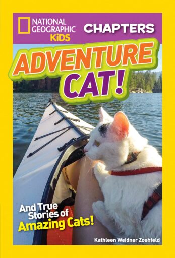 Book cover of Adventure Cats! by Kathleen Zoehfeld with photo of cat on a kayak