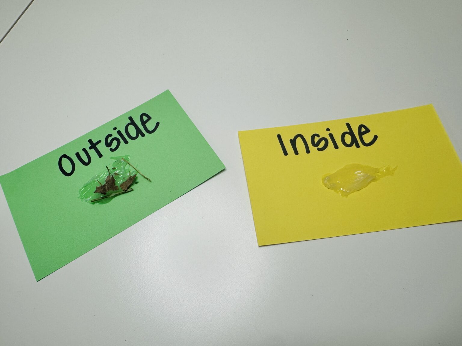 17 Meaningful Climate Change Activities for Kids