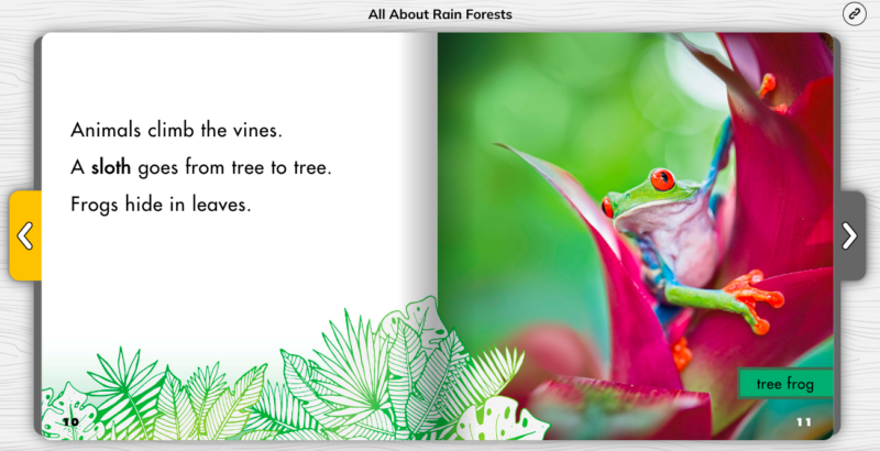 Page from All About Rainforests showing nonfiction text features
