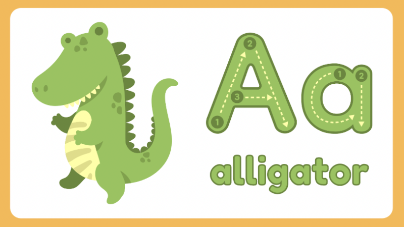 Aa for alligator- Canva for Education