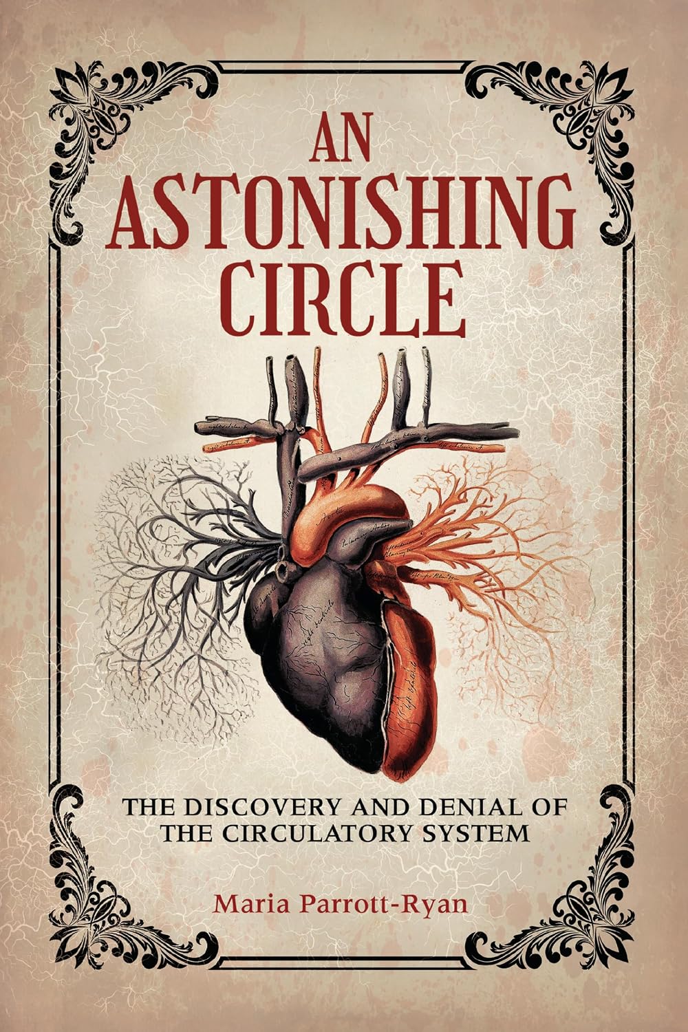 An Astonishing Circle book cover