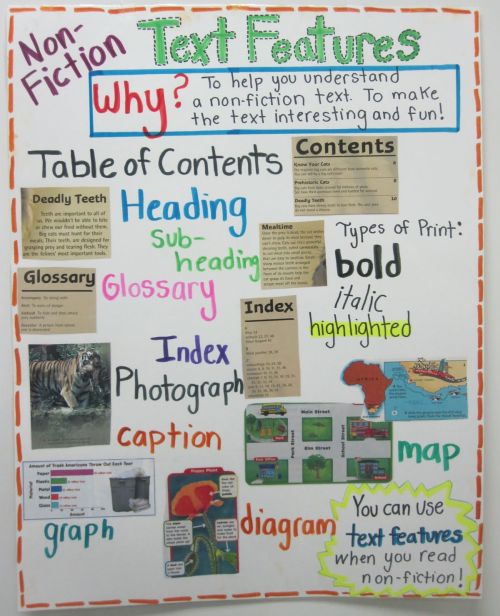 Non-Fiction Text Features anchor chart