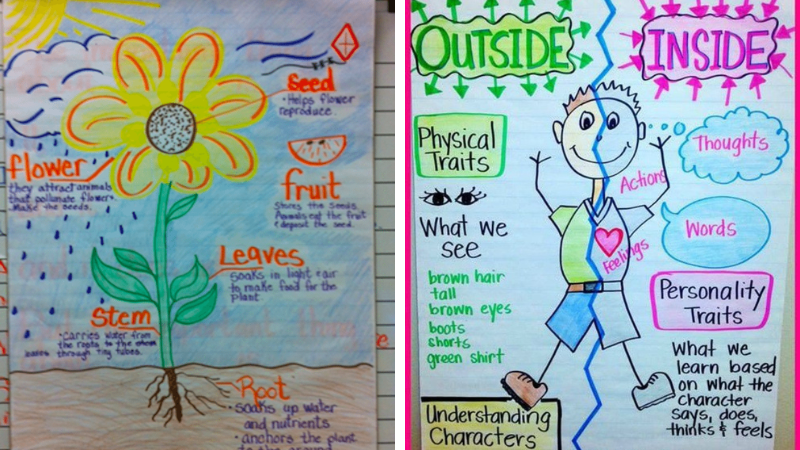 Cover photo of examples of anchor charts