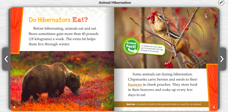 Sample page from Animal Hibernation with a fun fact
