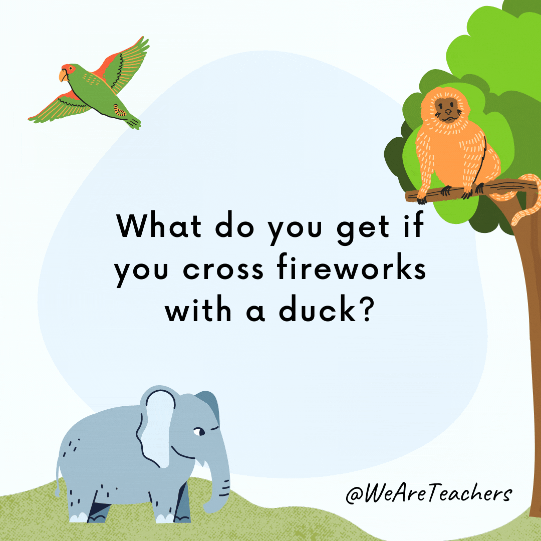 What do you get if you cross fireworks with a duck? Firequackers!- animal jokes for kids