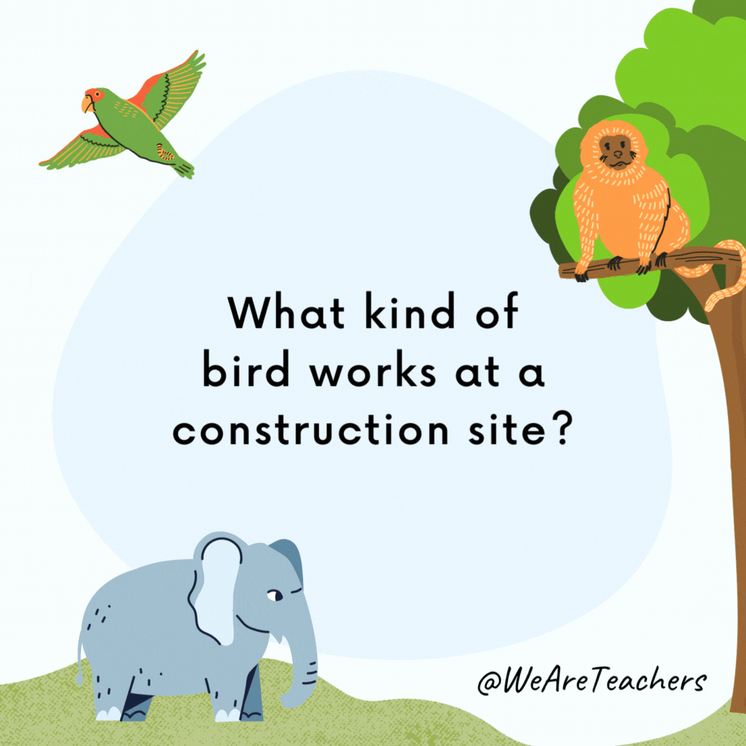 What kind of bird works at a construction site?