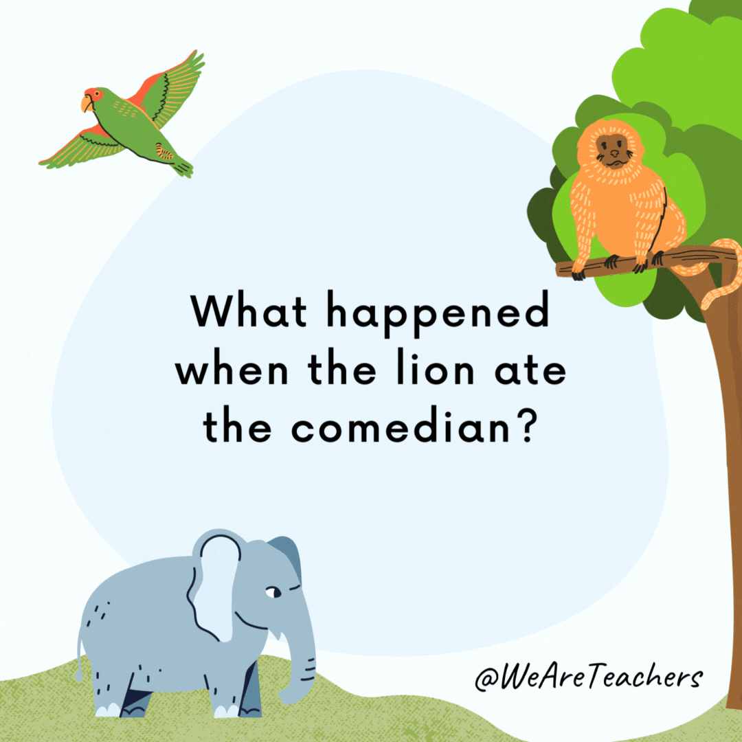 What happened when the lion ate the comedian?