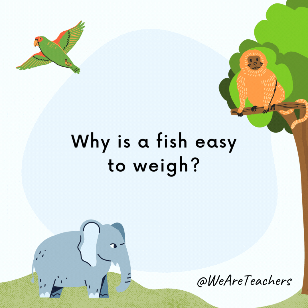 Why is a fish easy to weigh?