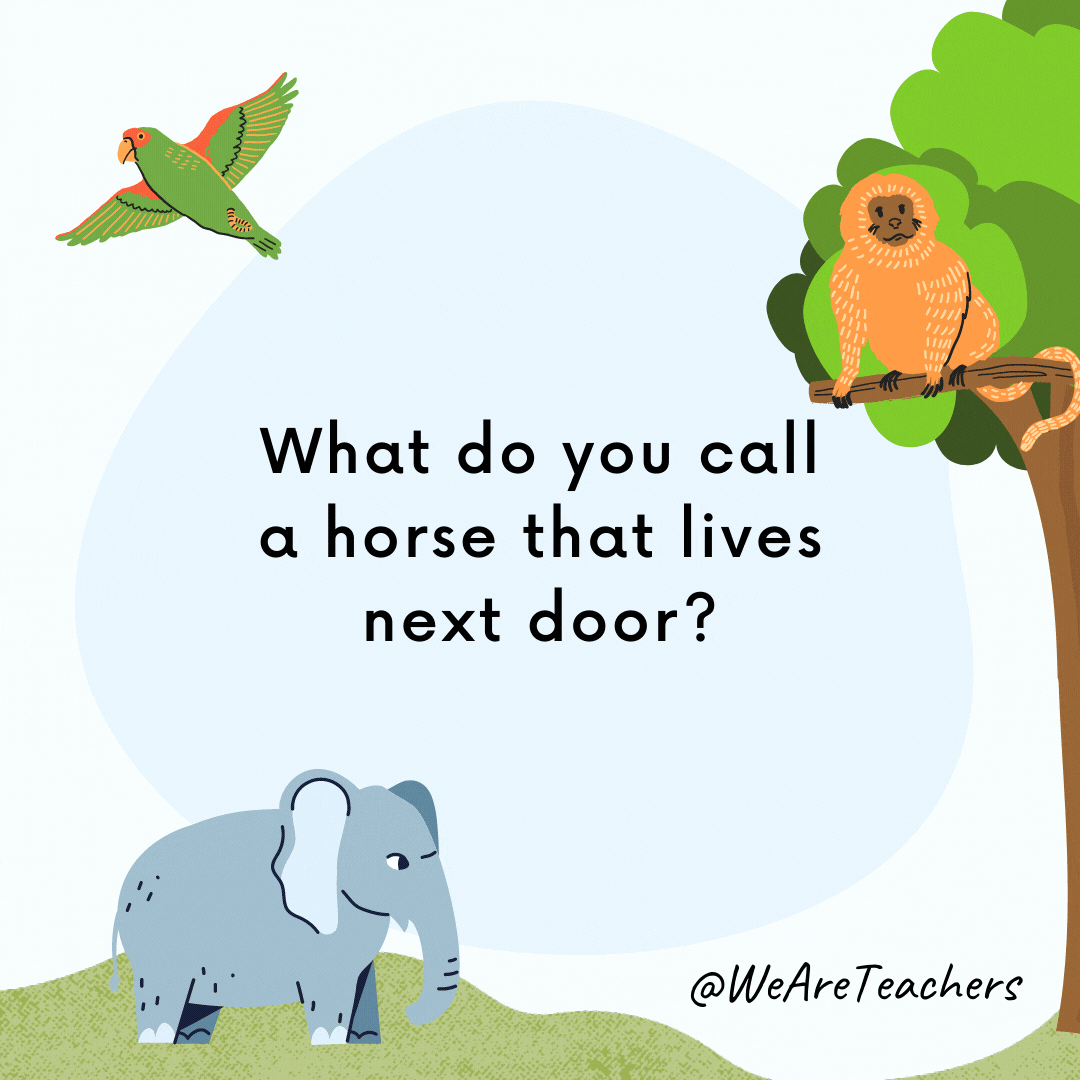 What do you call a horse that lives next door? A neigh-bor.