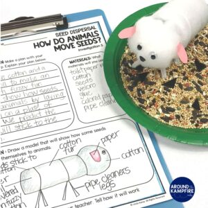Photo of a model animal that was made for second grade science experiments to demonstrate seed dispersal. The model is inside a dish of seeds, along with a science notebook entry.