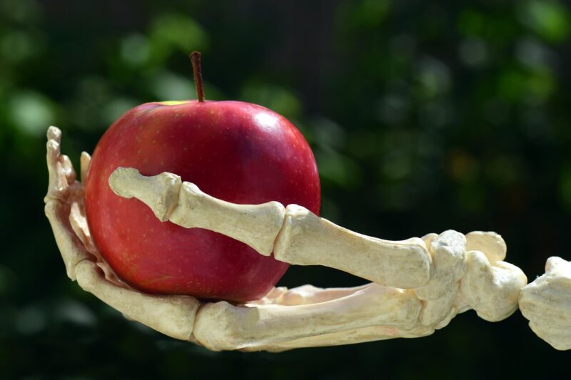 A red apple held in a skeleton's hand