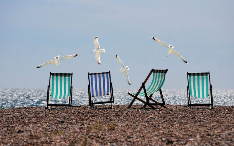 Four empty beach chairs on the shore, with seagulls flying overhead.