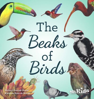 Book Cover: The Beaks of Birds
