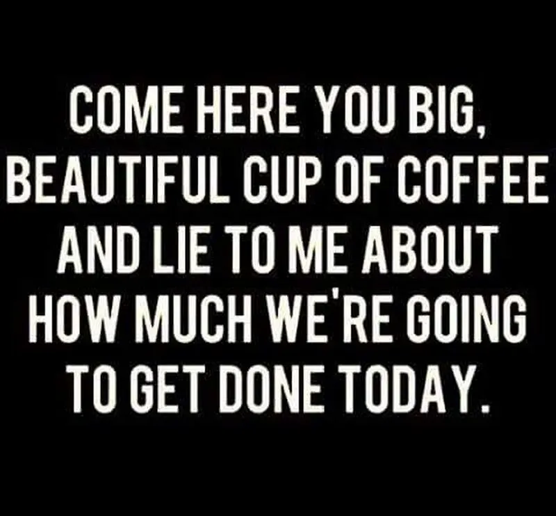lie to me about how much we will get done coffee meme