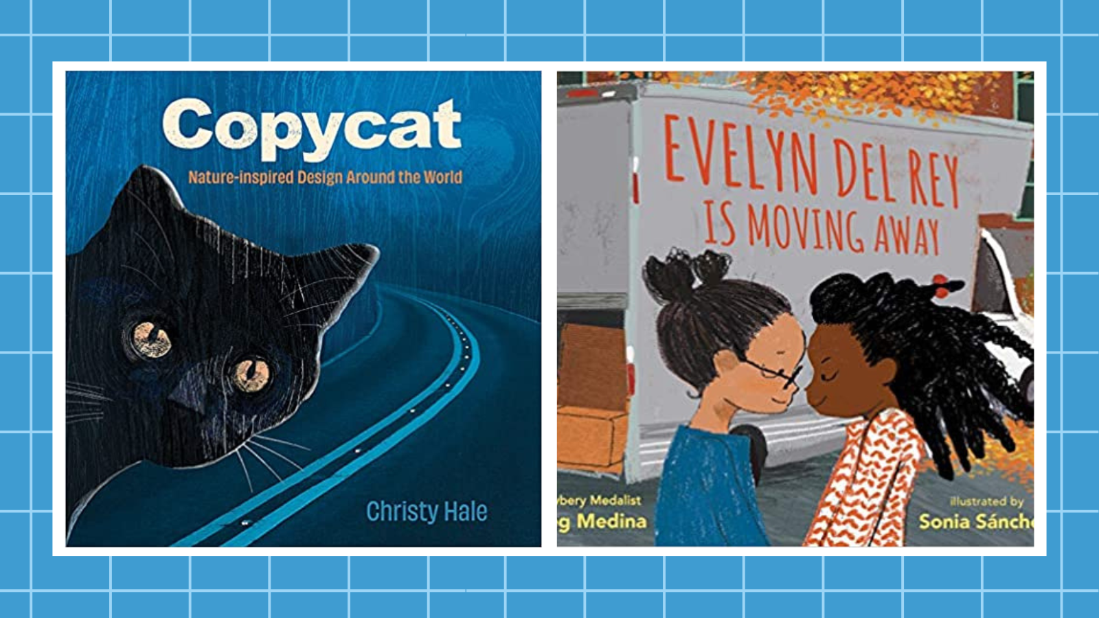60 3rd Grade Books To Add to Your Classroom Library