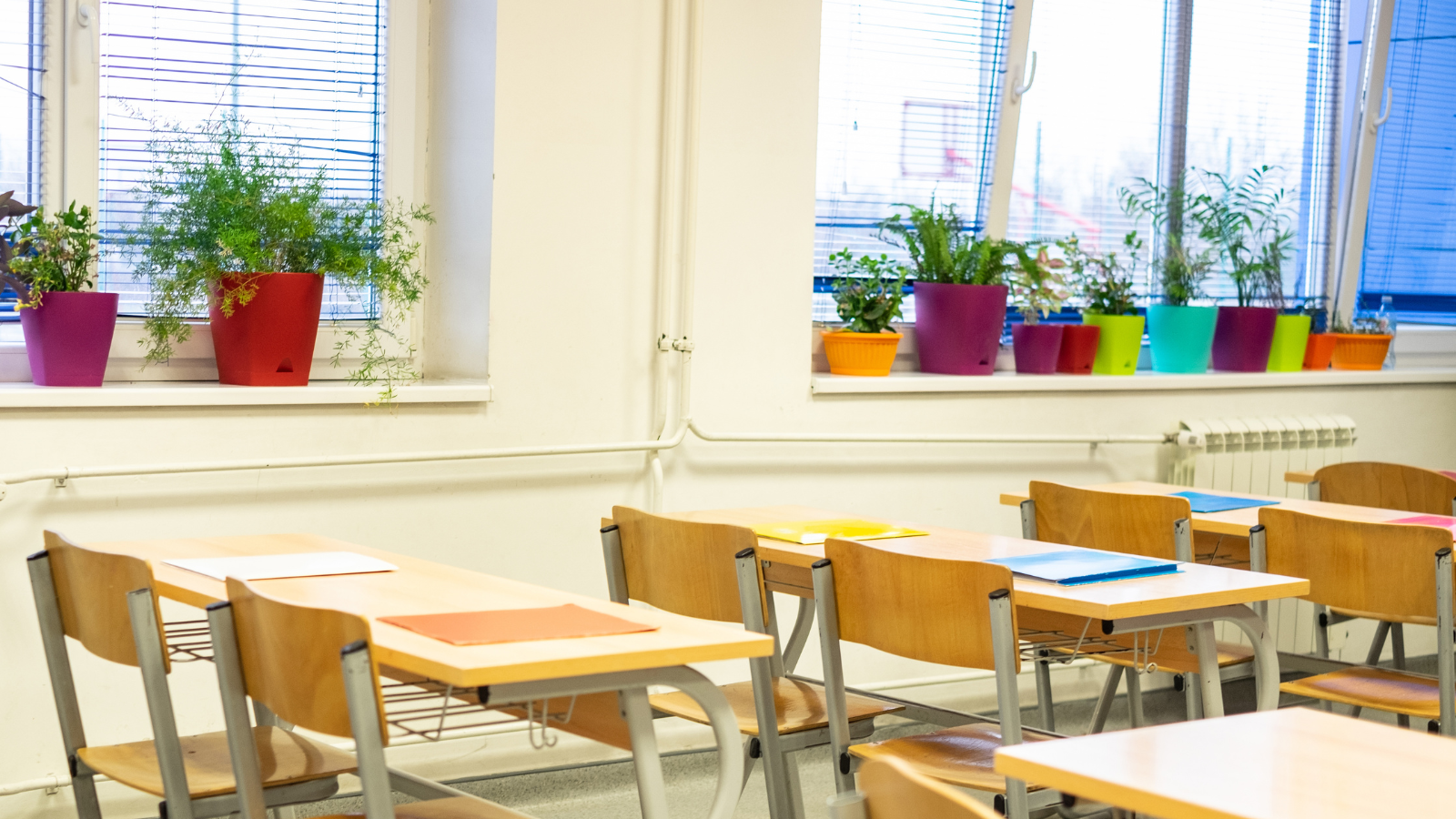 5 of the Best Classroom Plants (Even if You Have a Black Thumb)