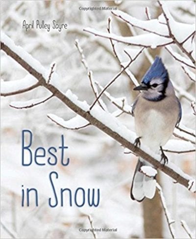 Cover of Best in Snow by April Pulley Sayre- Winter Picture Books