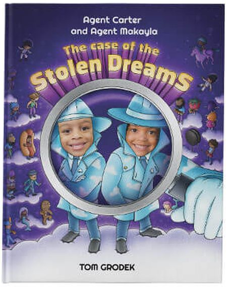The Case of the Stolen Dreams book cover