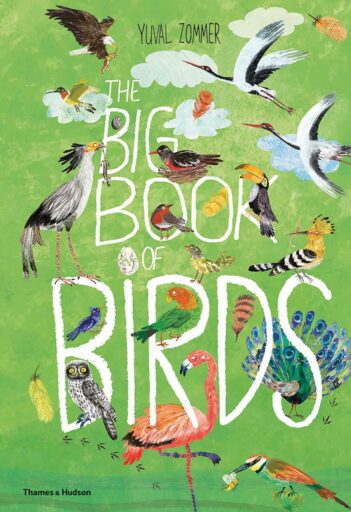 Book cover: The Big Book of Birds