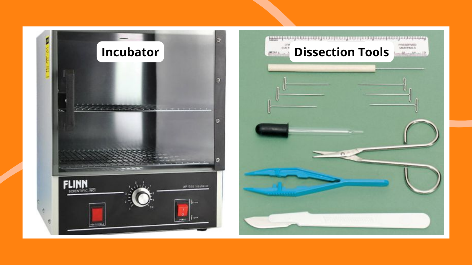 Collage of school biology lab equipment, including an incubator and dissection tools
