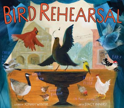 Bird Rehearsal book cover