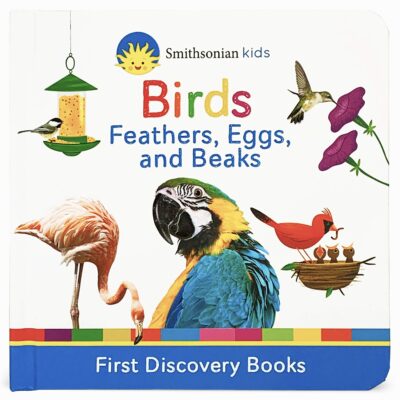 Bird books for kids book cover: Birds: Feathers, Eggs and Beaks by Scarlett Wing