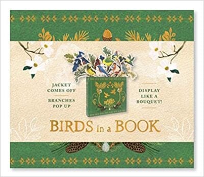 Book cover for Birds in a Book as an example of pop-up books for kids