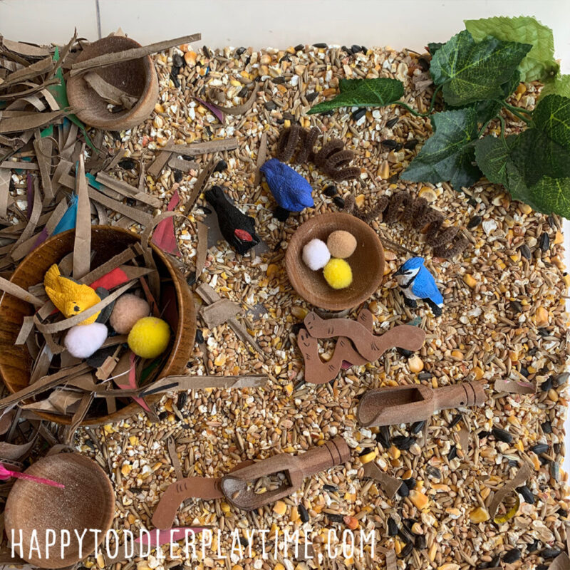 A preschool sensory bin filled with bird seed, birds, worms and eggs as an example of spring activities for preschoolers