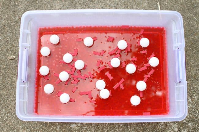 red water with white beads and red pieces of paper in it for circulatory system activity