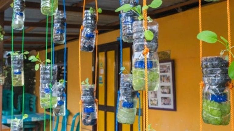 Water bottles hanging from the ceiling with colorful ropes that contain growing plants.