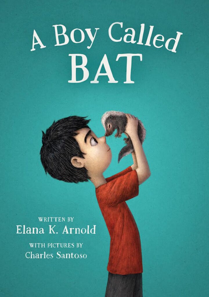A Boy Called Bat cover