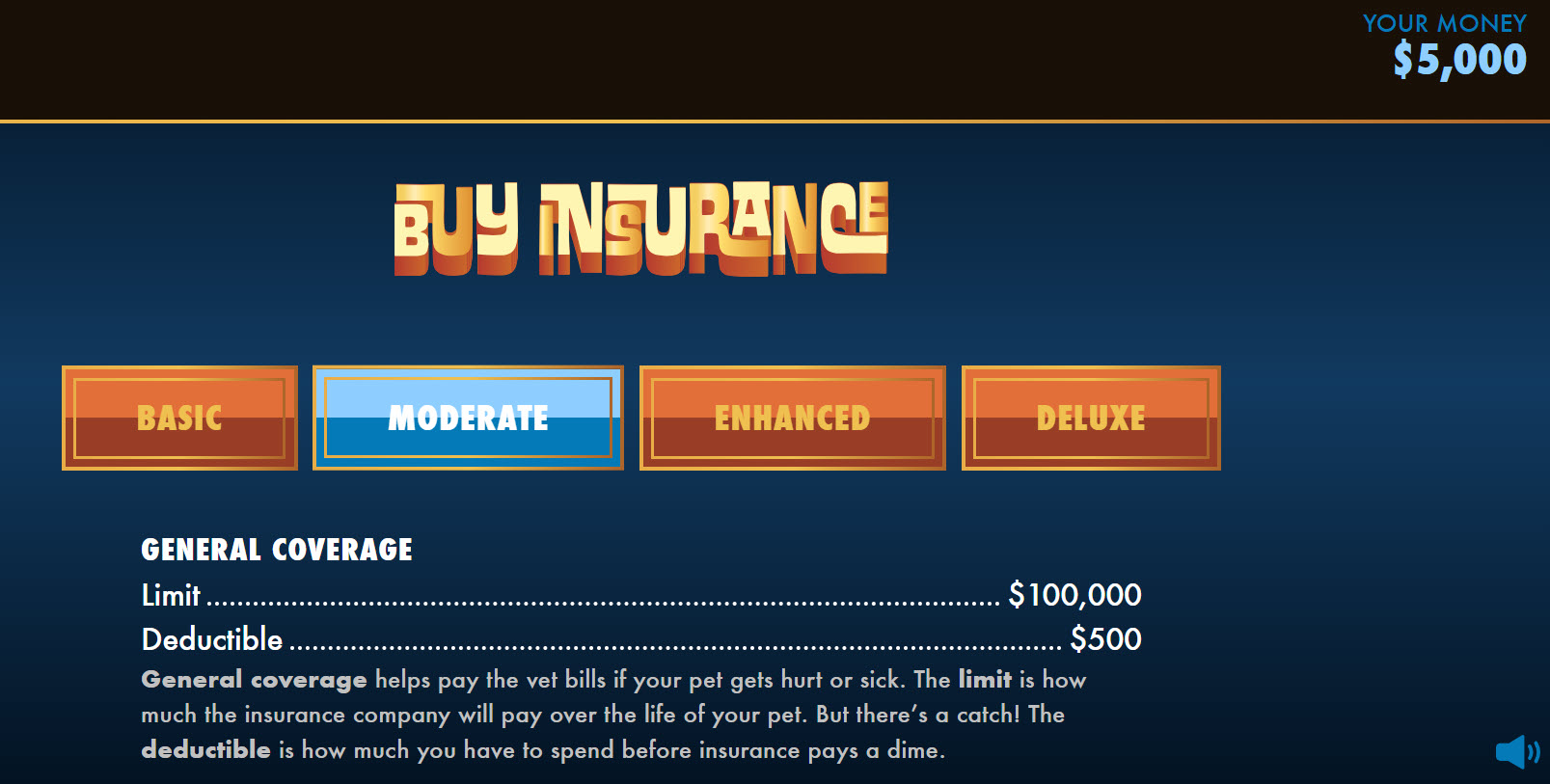Part of the online financial game Budgeting, where students decide what kind of insurance they need