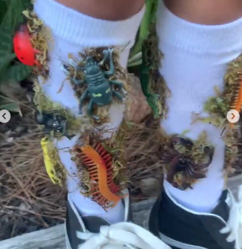 White socks with plastic bugs attached