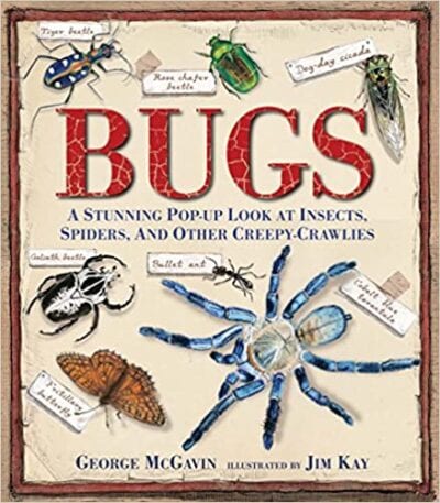 Book cover for Bugs: A Stunning Pop-Up Look at Insects, Spiders, and Other Creepy Crawlies