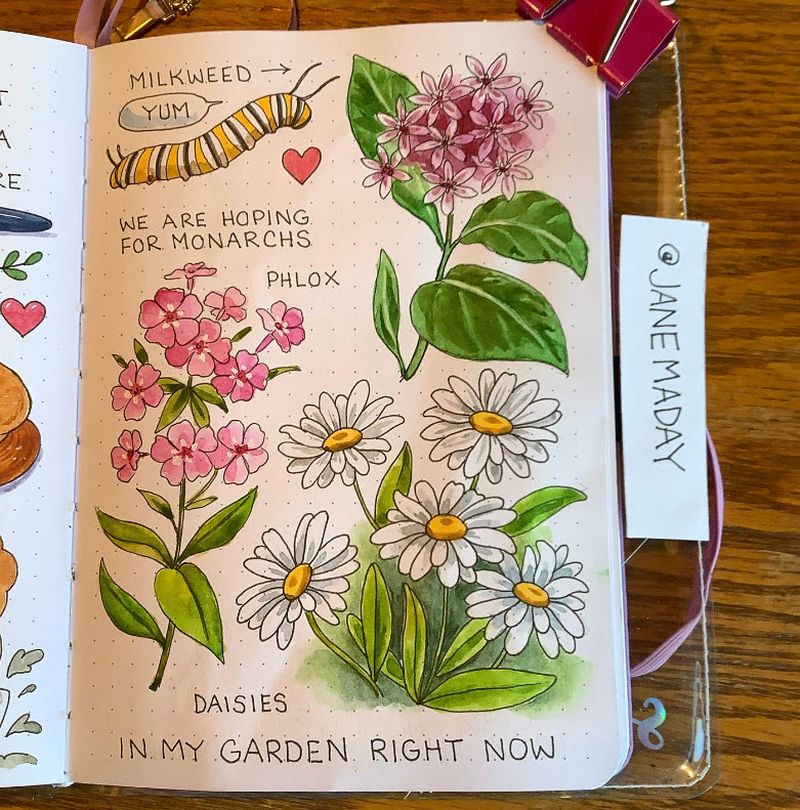 A page in a bullet journal with drawings of flowers and a monarch caterpillar