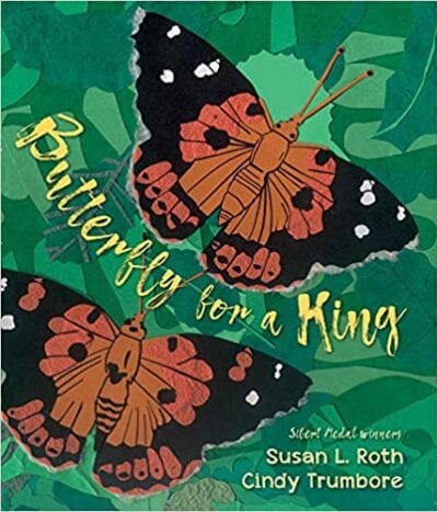 Book cover for Butterfly For a King as an example of Earth Day books for kids