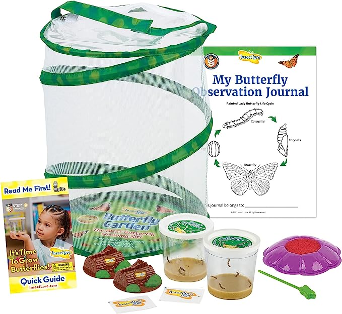 a kit for growing butterflies 