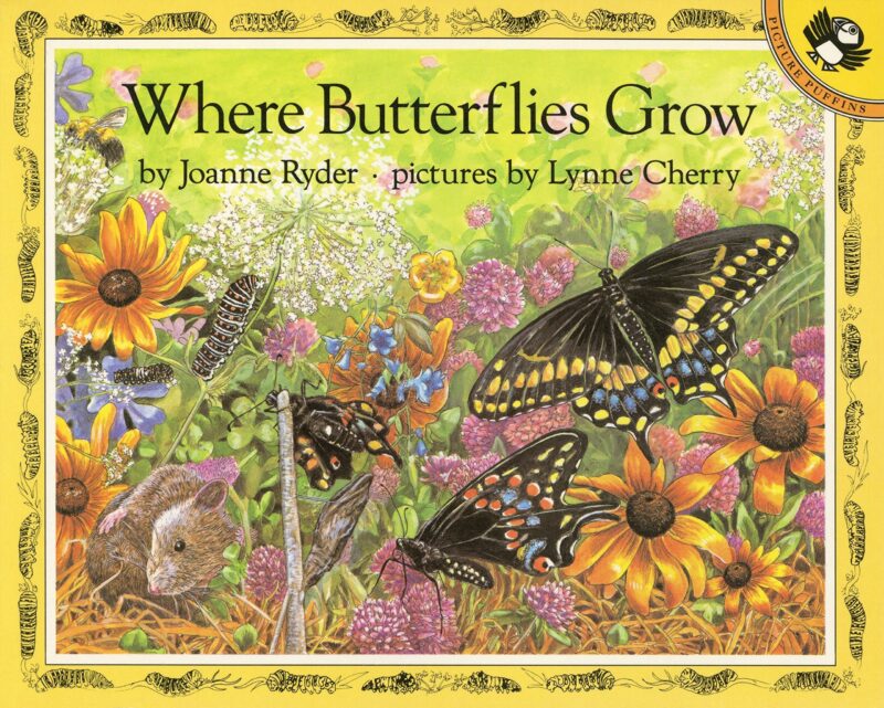 Book cover of "Where Butterflies Grow," as an example of butterfly books for kids