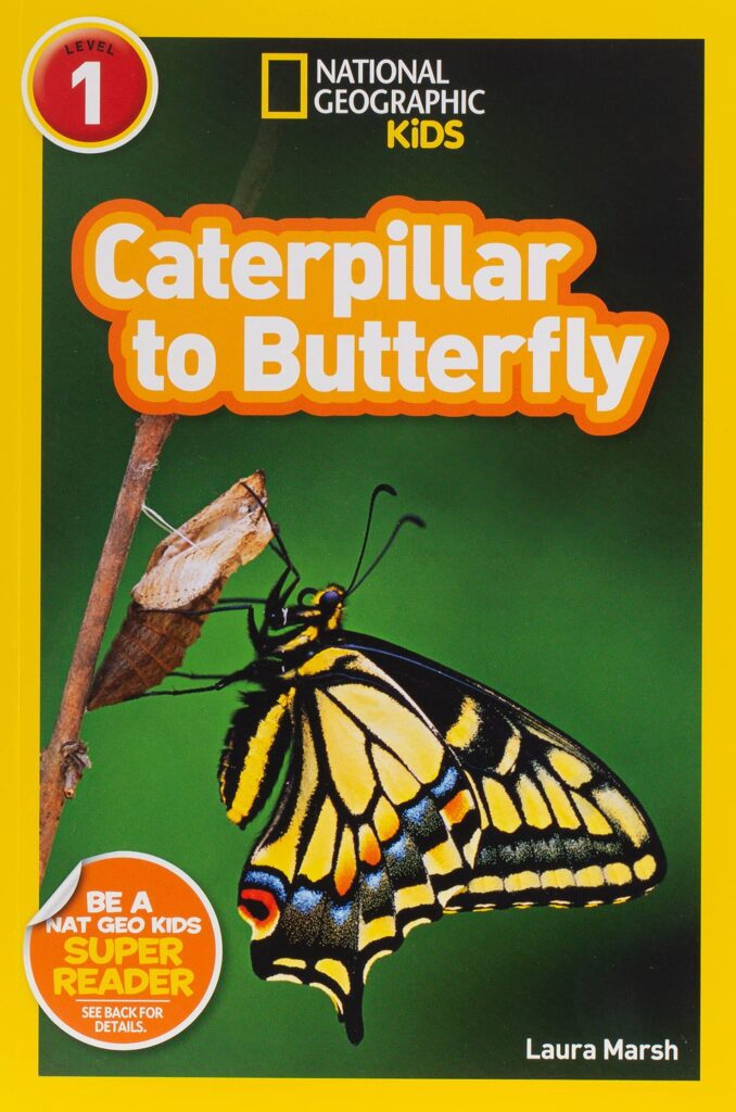 Book cover of "Caterpillar to Butterfly," as an example of butterfly books for kids