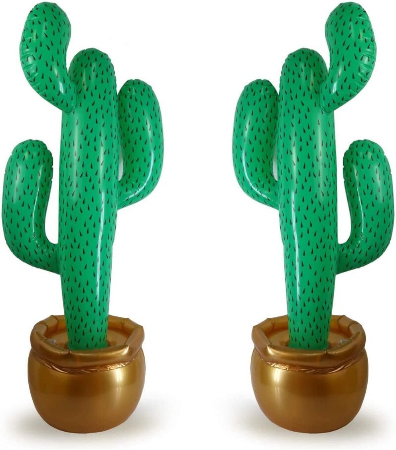 Cactus Classroom Theme Ideas Inflatable cactus