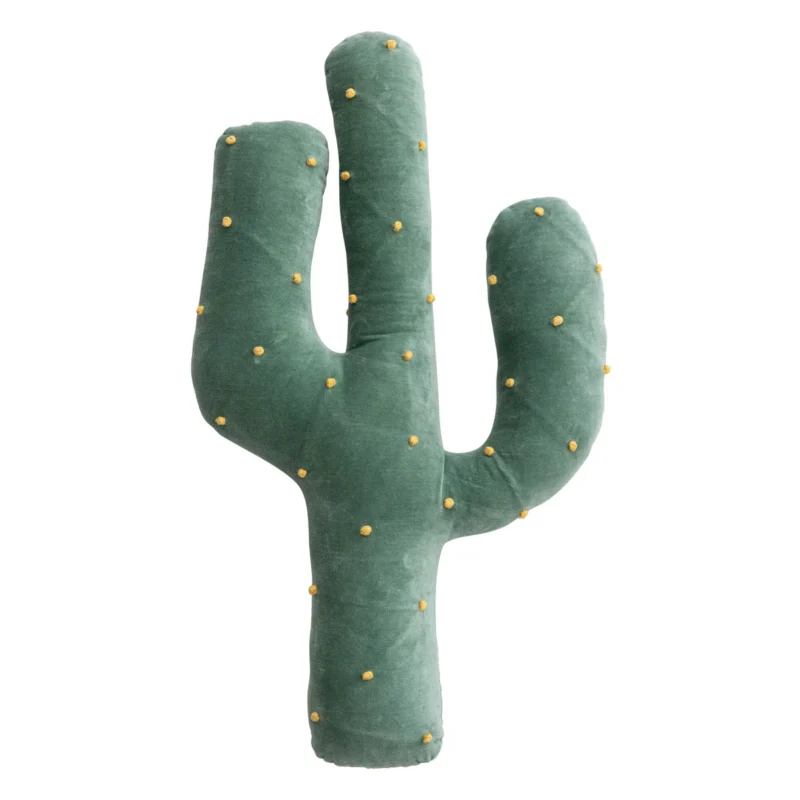 Cactus Classroom Theme Ideas Cactus cushion pillow