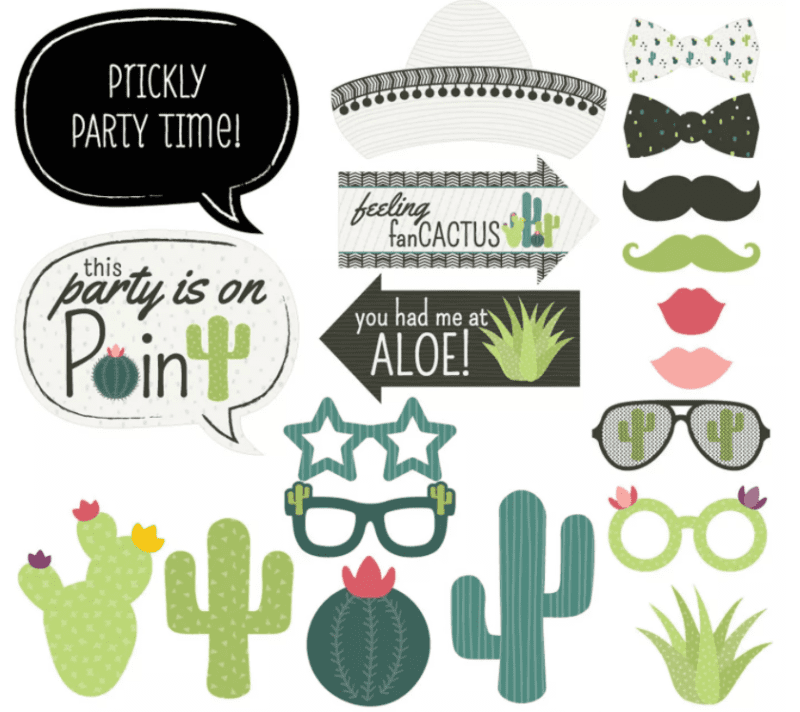 Cactus-themed photo booth party accessories