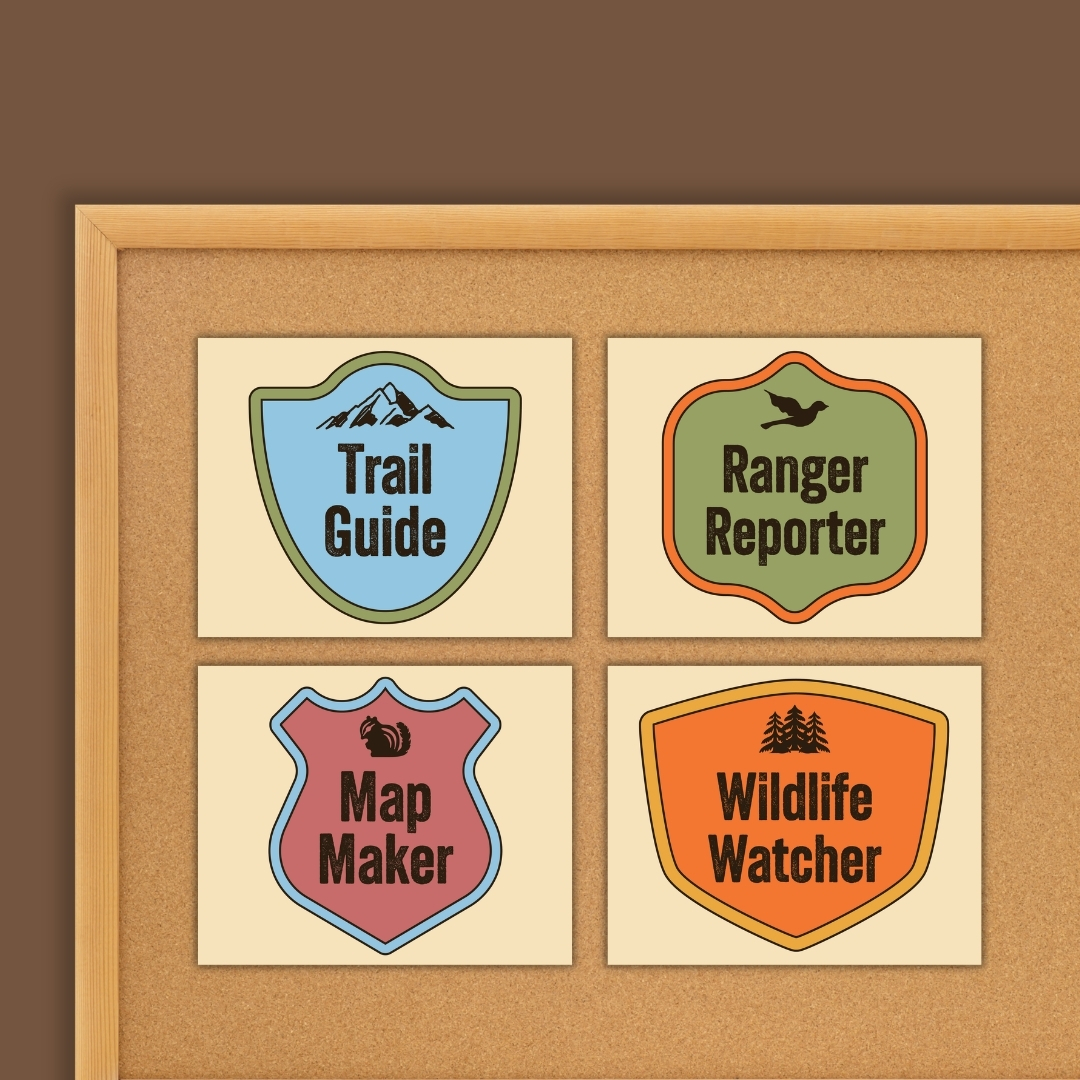Student job cards labeled Trail Guide, Ranger Reporter, Map Maker, and Wildlife Watcher on a bulletin board