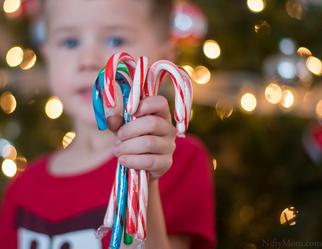 boy holding different colored candy canes 
