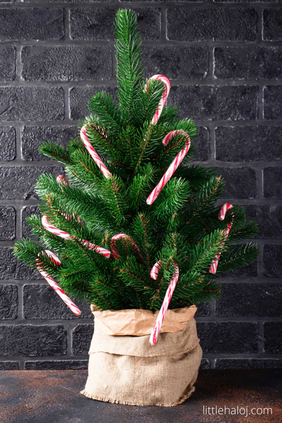 little christmas tree covered with candy canes for a candy cane game 